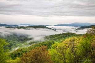 The Smokey Mountains-9009.jpg